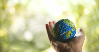 ESG-Environmental-Social-Governance-Sustentabilidade