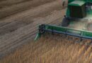 Qual o impacto do vigor de sementes na produtividade da soja?